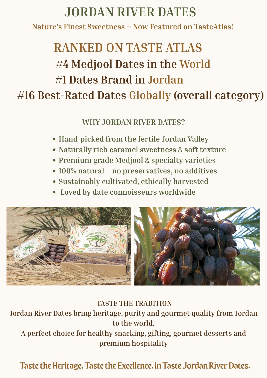 Jordan River Medjool Dates